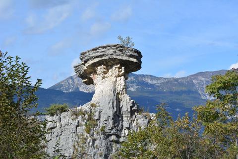  Fungo di Albaredo